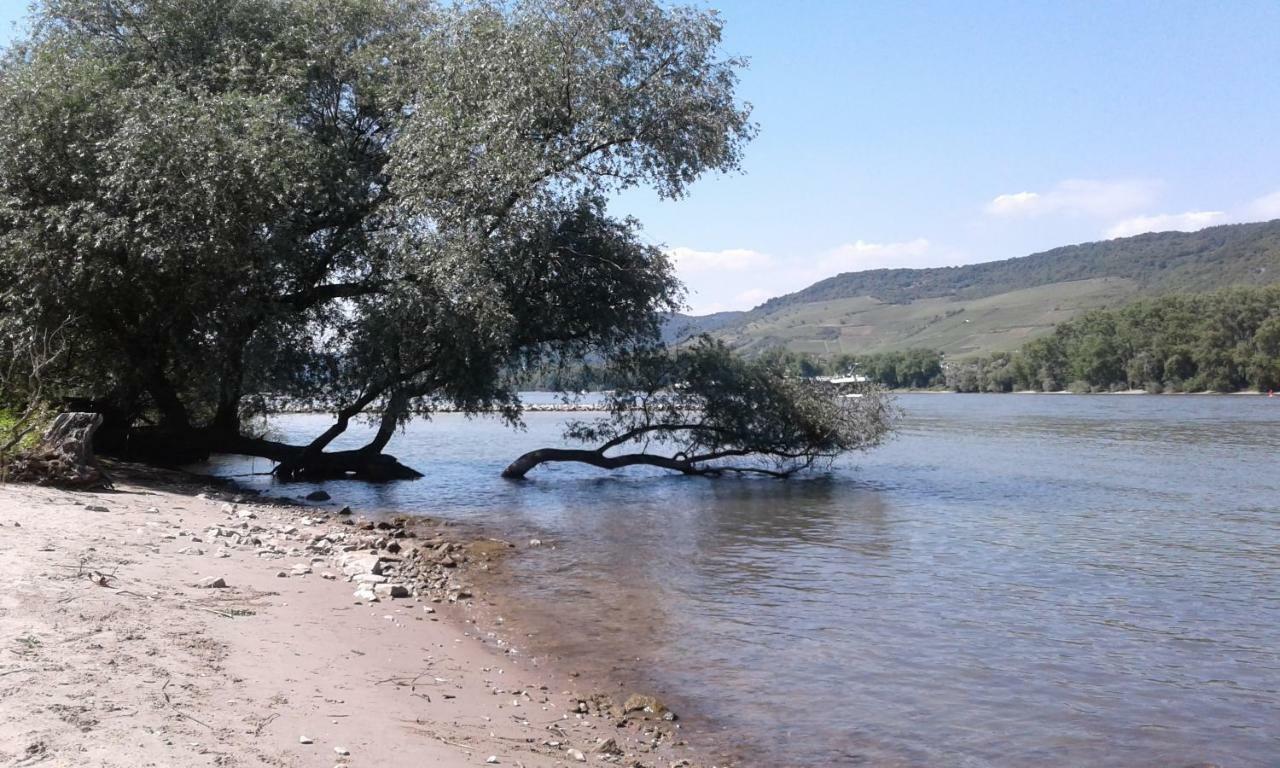 Fewo Batek Trechtingshausen Exteriér fotografie